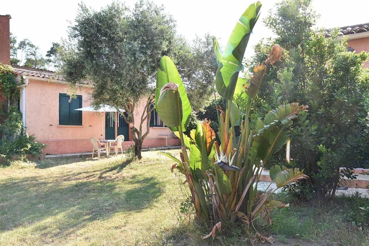 Terracorse Villa Figari  Exterior photo